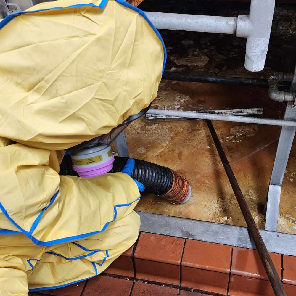 Aqua Fast Flush Employee Removing Grease From An Interceptor