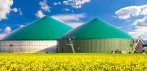two side by side biodigestors in a field