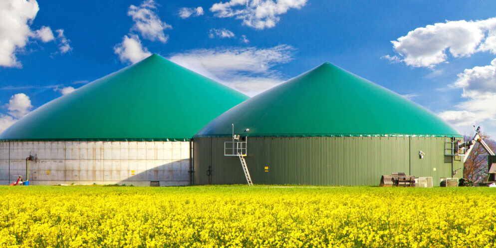 bio-digestors-industry two side by side biodigestors in a field