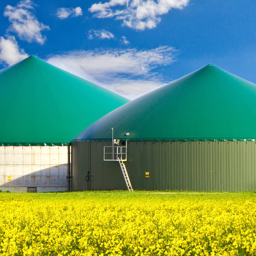 two side by side biodigestors in a field