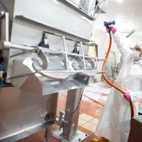 Sanitizing a food processing facility